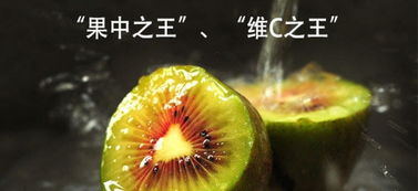 紅心獼猴桃合作社 現(xiàn)摘現(xiàn)發(fā)，開啟新鮮水果批發(fā)零售新體驗(yàn)